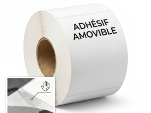 Amovible (Enlevable)